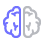 Orange County SEO Company. Brain graphic.