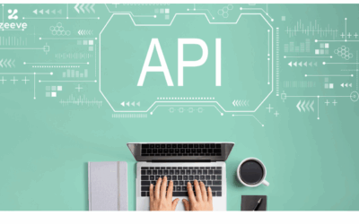 WordPress with Cryptocurrency Integration